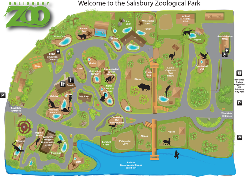 Zoo Maps For Kids